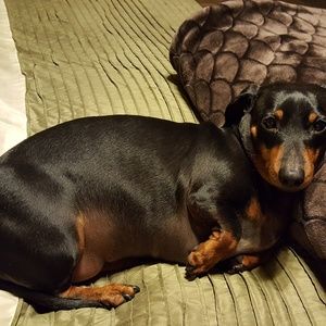 Meet your Posher, Adriana